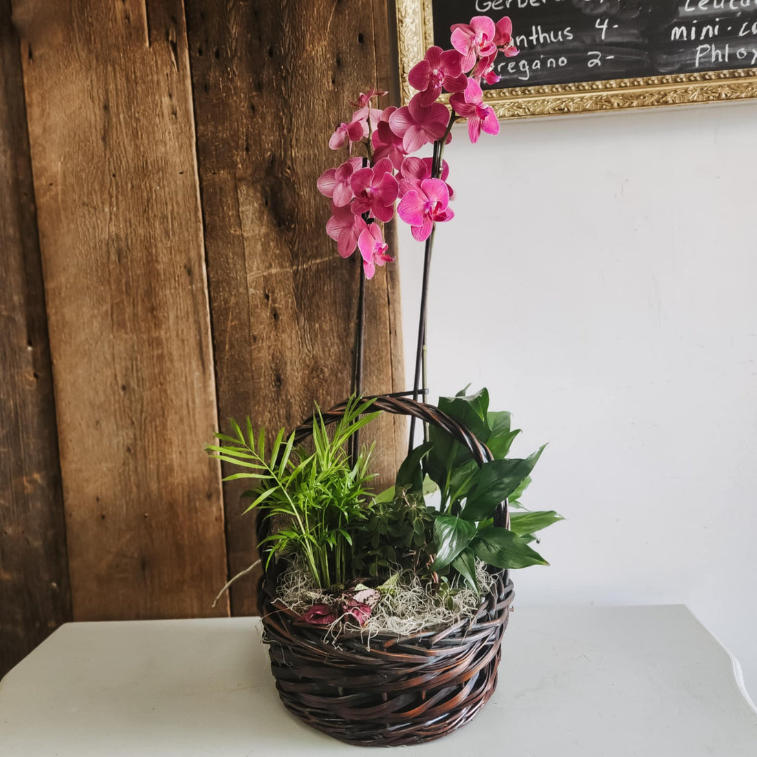 Orchid Planter Garden