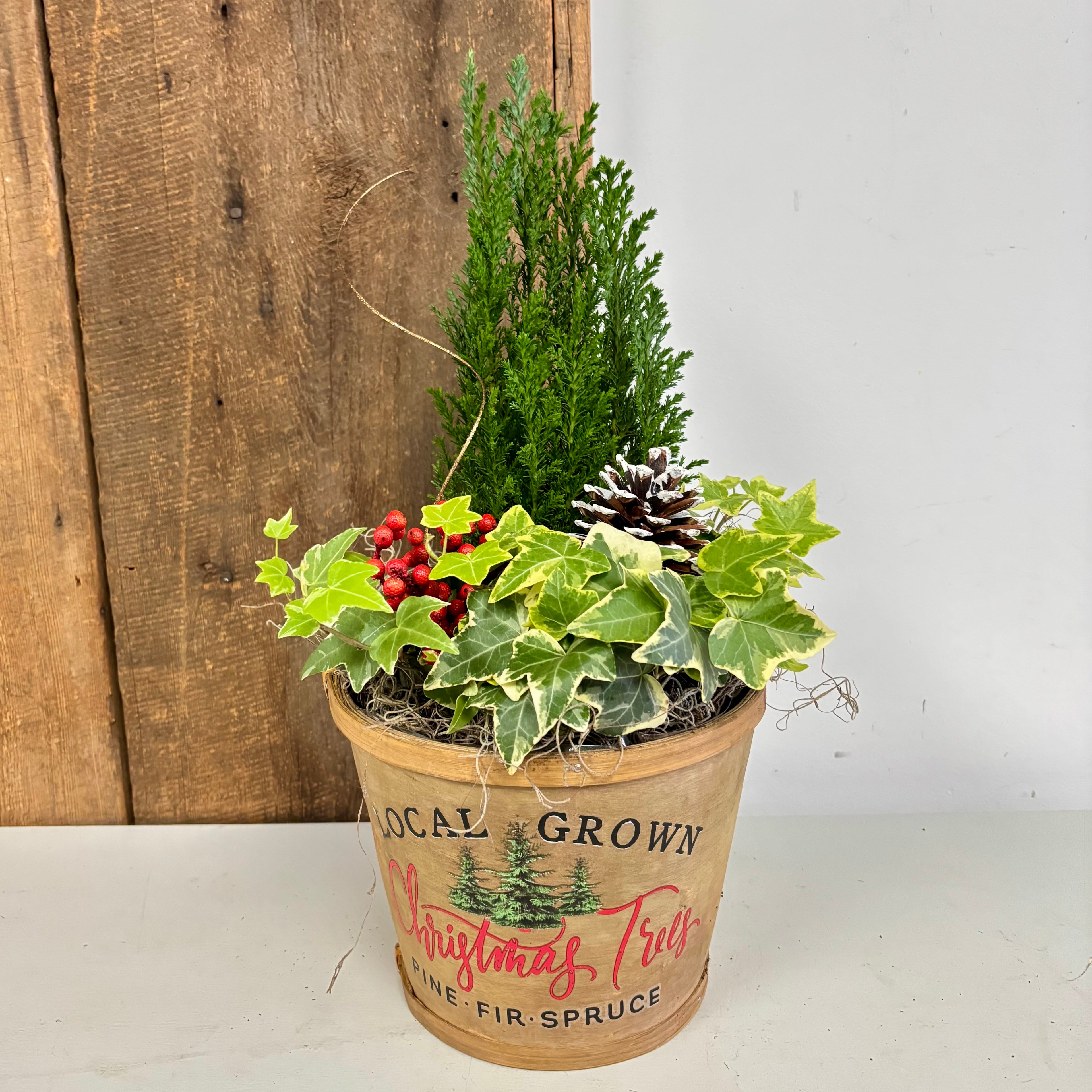 Christmas Planter Gardens