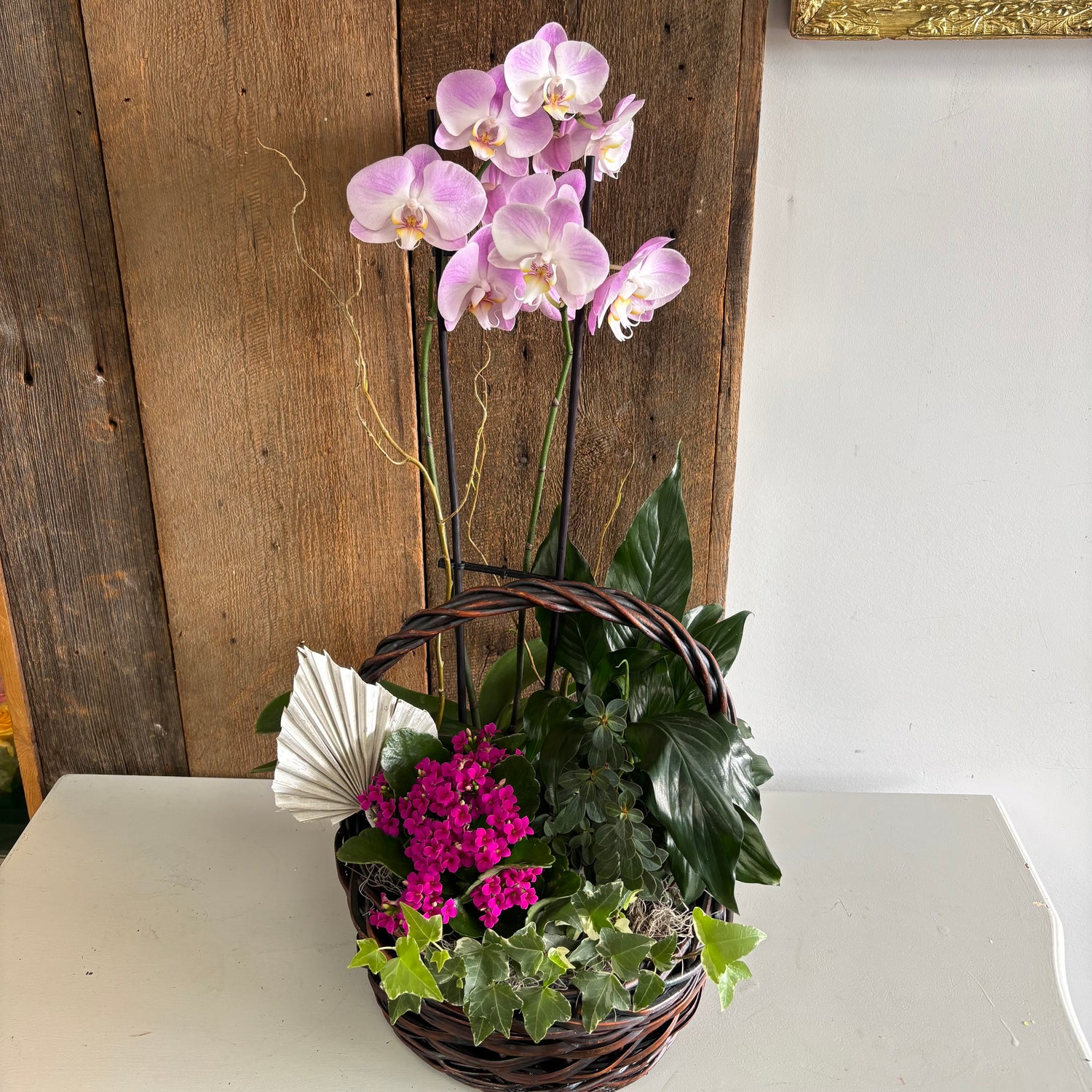 Orchid Planter Garden