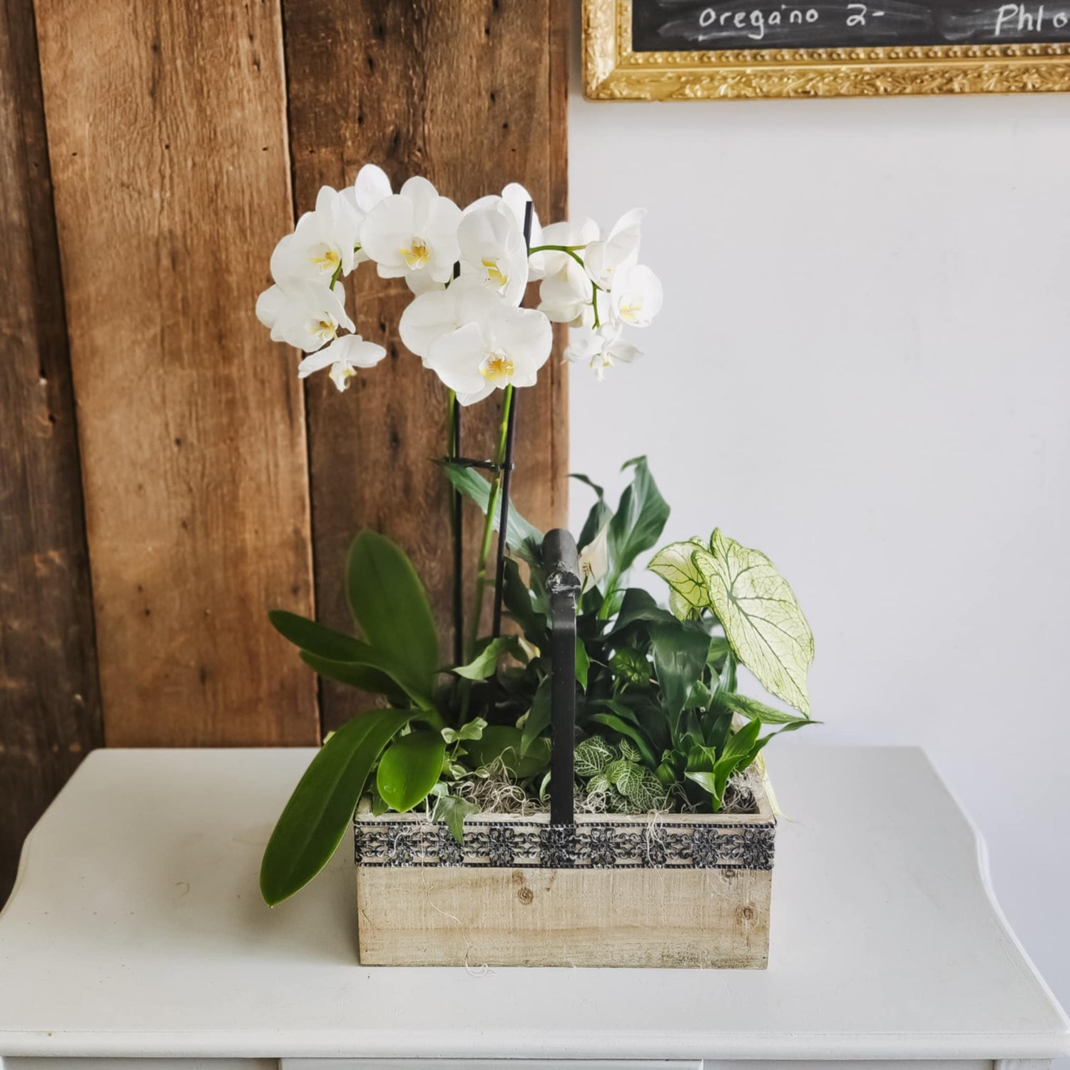 Orchid Planter Garden