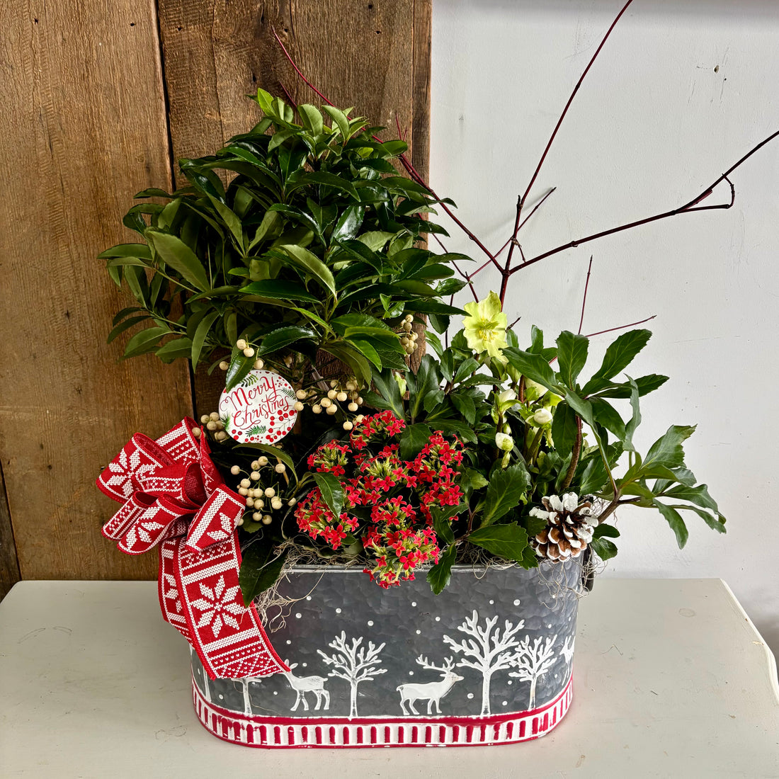 Christmas Planters Large