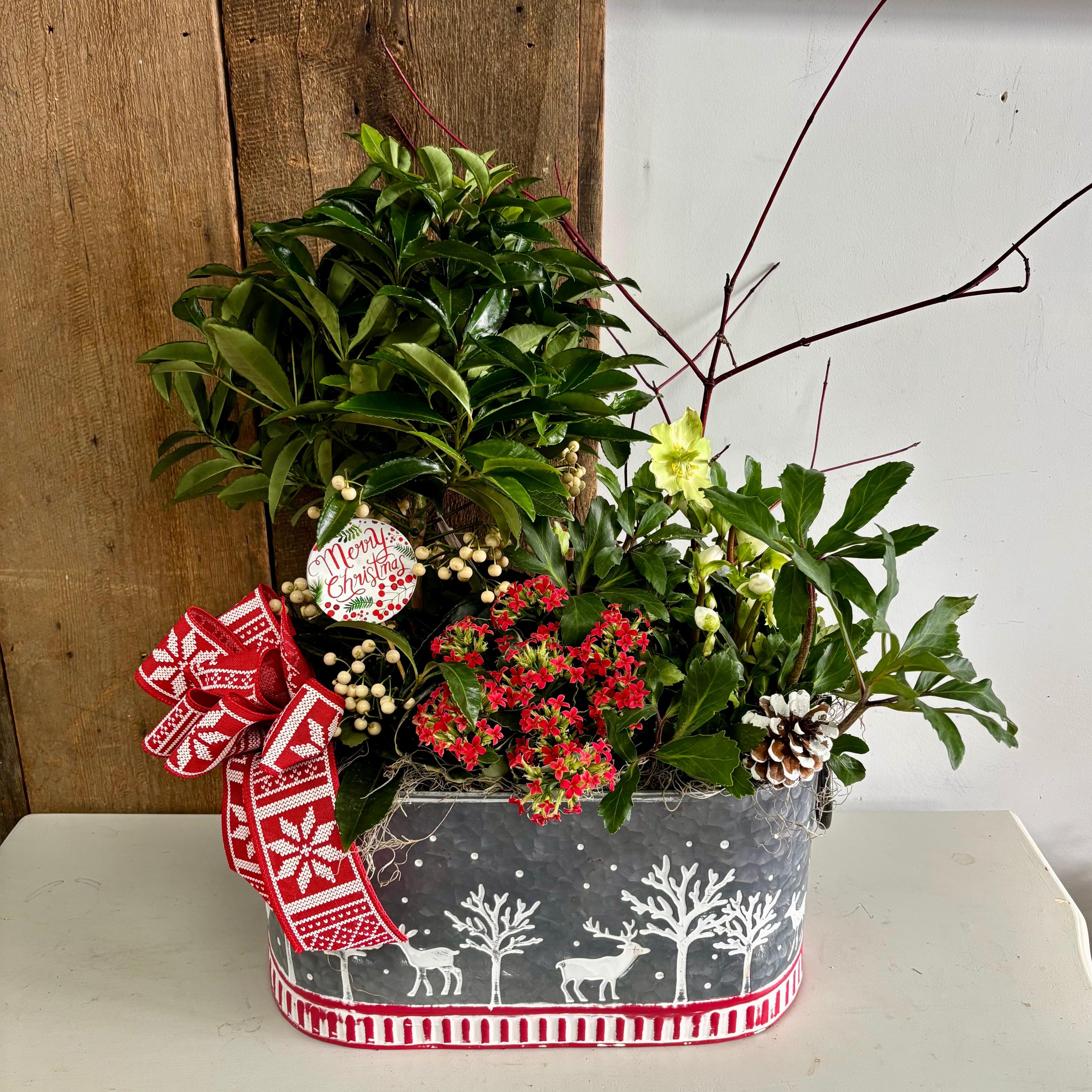 Christmas Planters Large