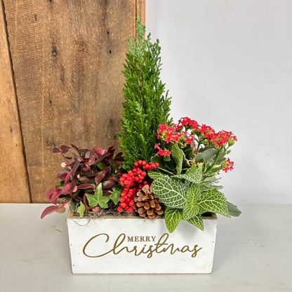 Christmas Planter Gardens