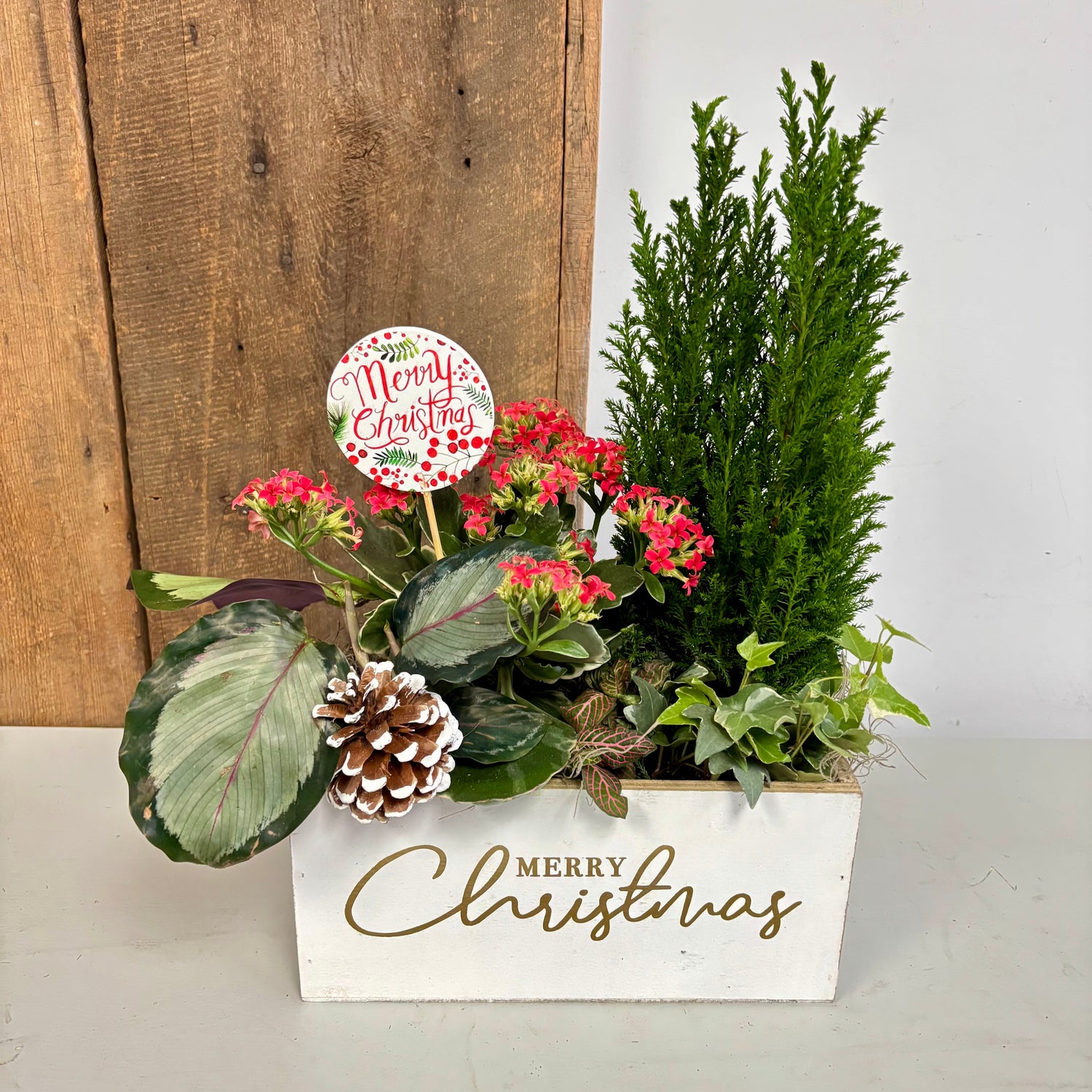 Christmas Planter Gardens