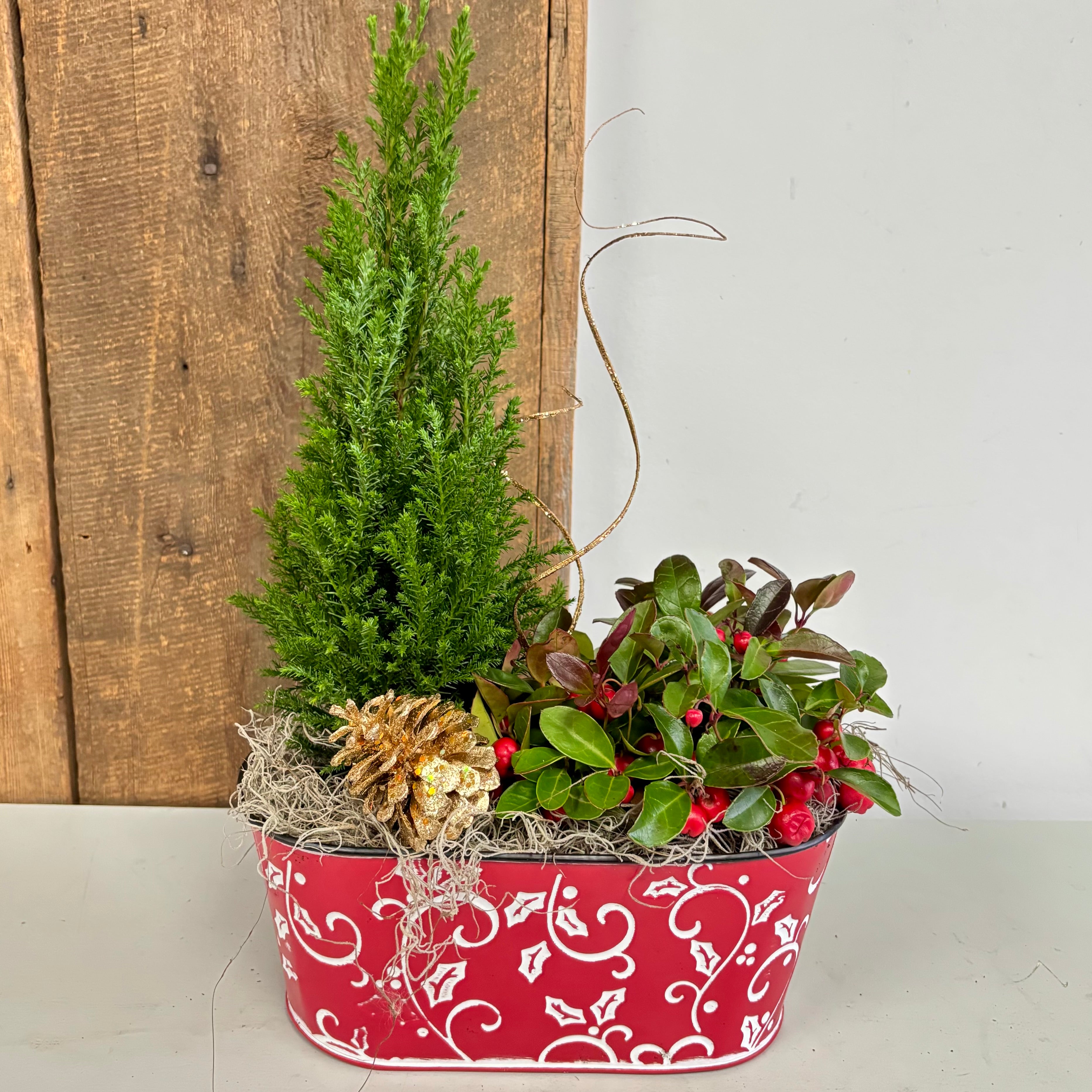 Christmas Planter Gardens