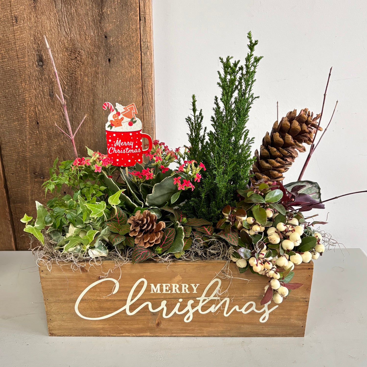 Christmas Planter Gardens