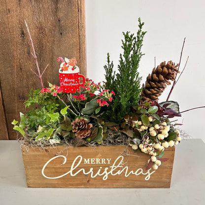 Christmas Planter Gardens