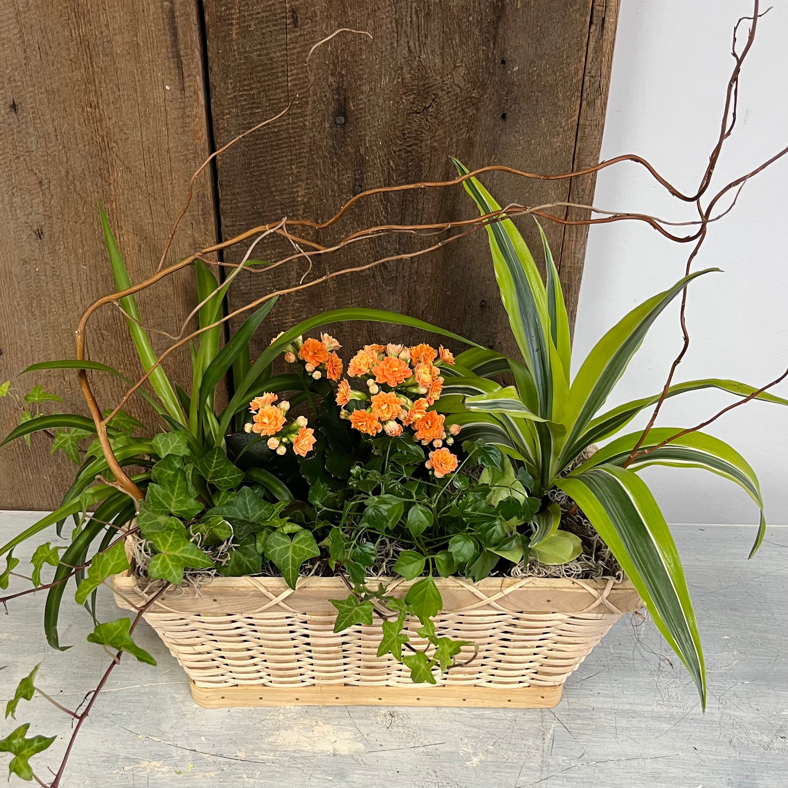 Planter Gardens - Small-Medium